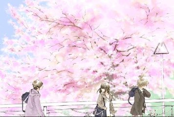 琼崖2海角云轩离婚
